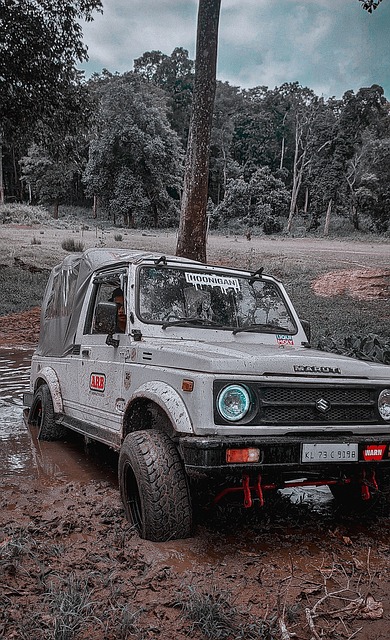 更让我们见 更让我们见