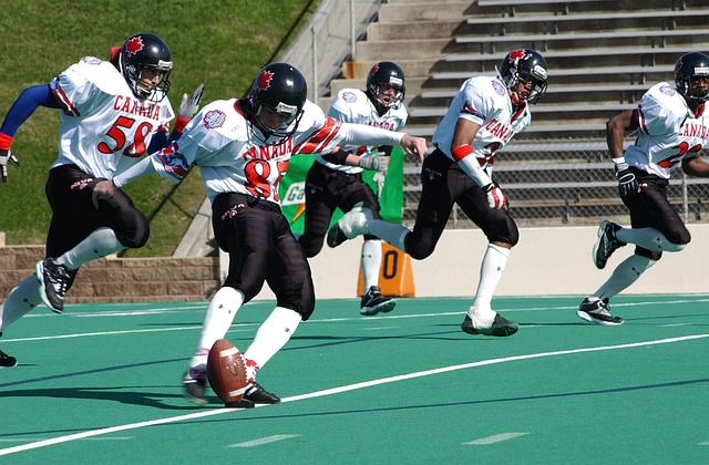 议的消息引 议的消息引