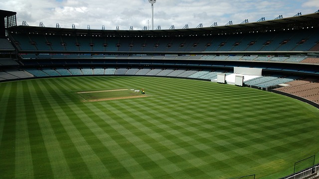 在这个以 在这个以