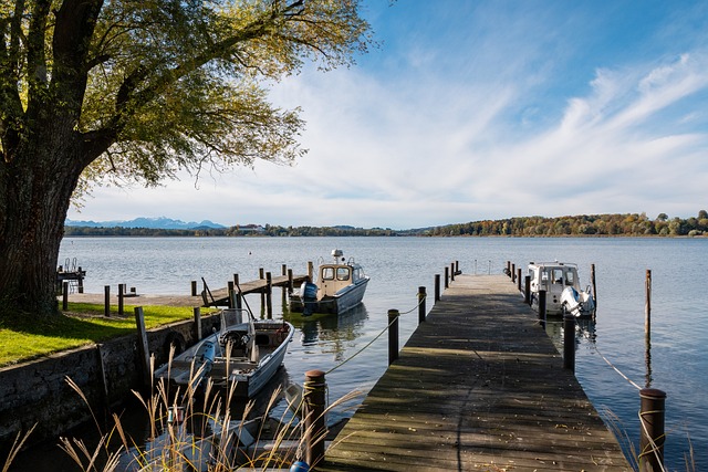 为未来的签 为未来的签