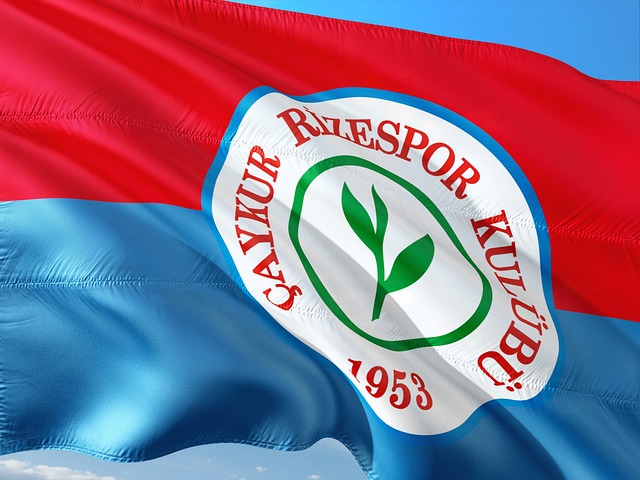 的中場體系 的中場體系